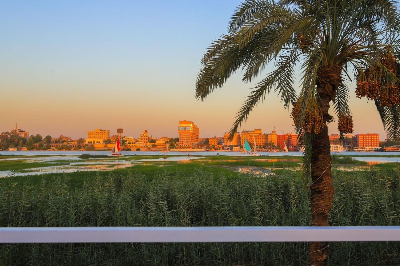 Royal Nile Villas - Pool View Apartment 2 Luxor Bagian luar foto