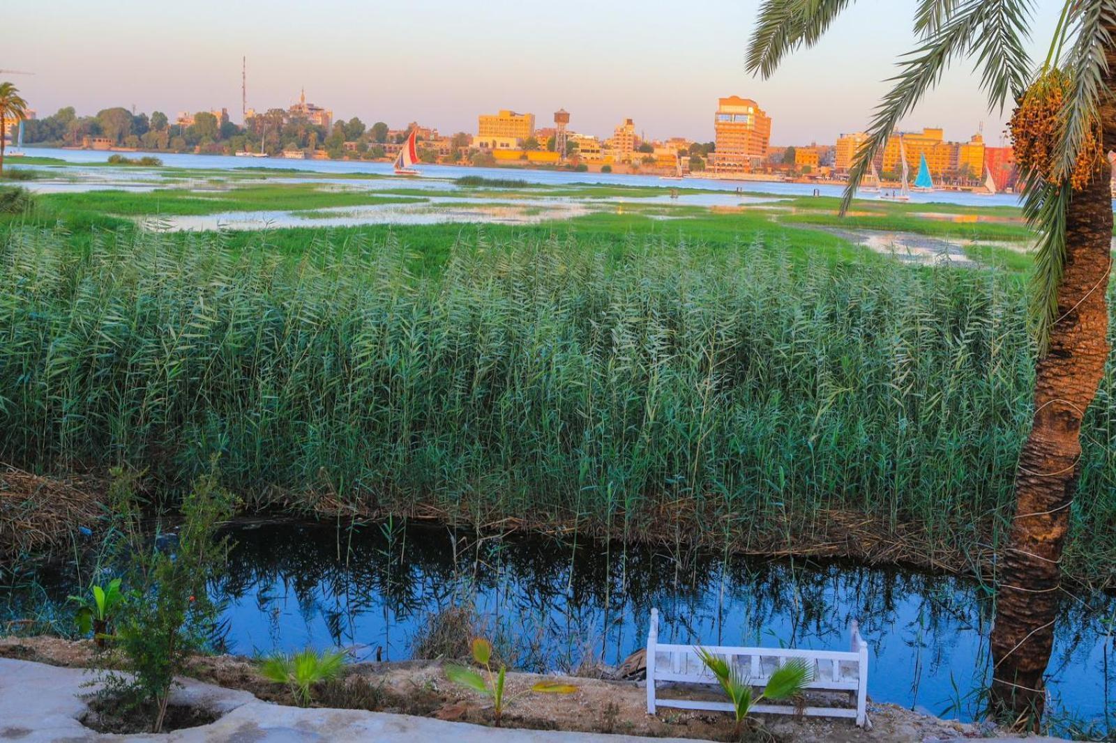 Royal Nile Villas - Pool View Apartment 2 Luxor Bagian luar foto